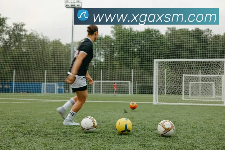 爱游戏体育官网服务体系